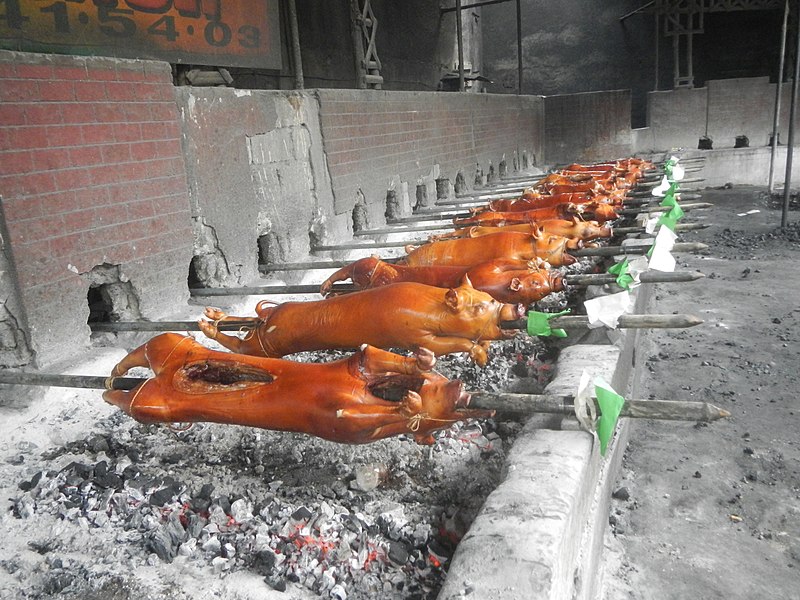 Lechon being cooked over a pit