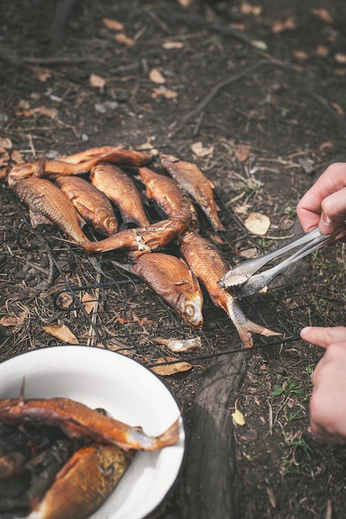 Person grilling a fish